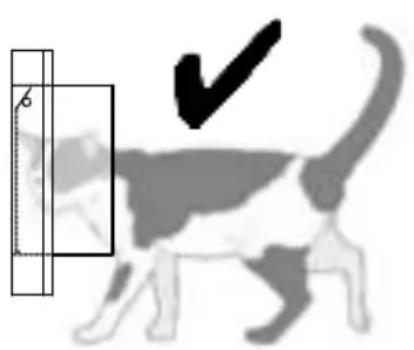 SureFlap Microchip - Garanti og ansvarsfraskrivelse - 2