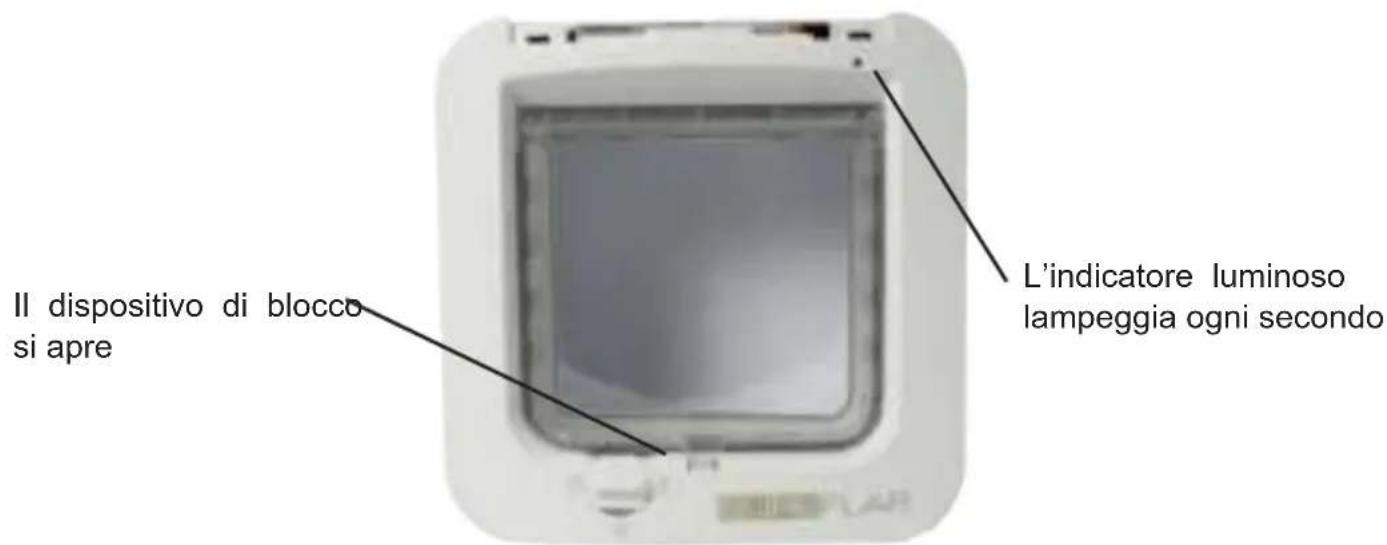 SureFlap Microchip - Modalità di acquisizione - 4