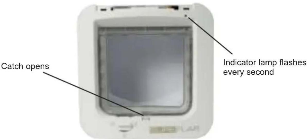SureFlap Microchip - Learn Mode - 4