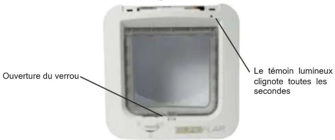 SureFlap Microchip - Mode d'apprentissage - 4