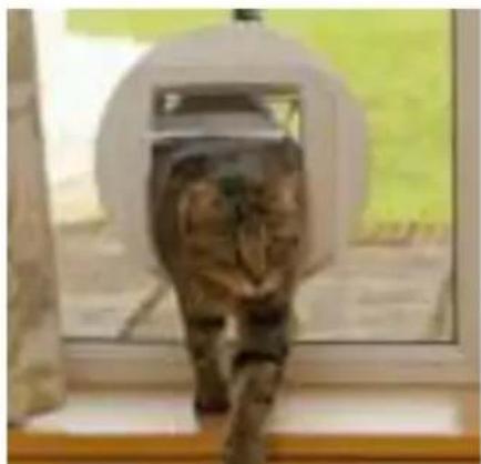 SureFlap Microchip - Montering i glasdore aller vinduer - 9
