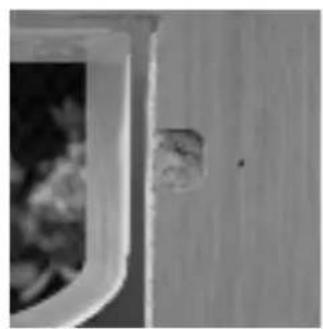 SureFlap Microchip - Installation in walls - 6