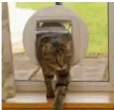 SureFlap Microchip - Installation in glass doors or windows - 9