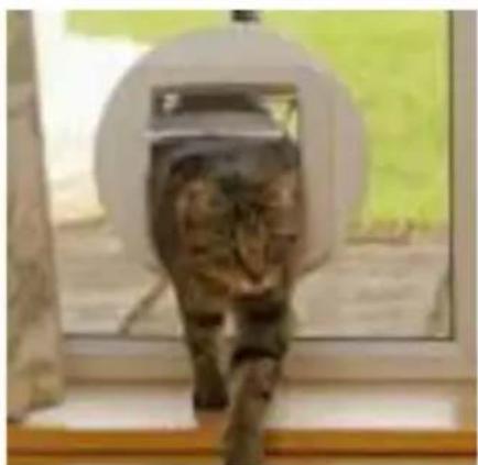 SureFlap Microchip - Montering i glassdorer aller vinduer - 8