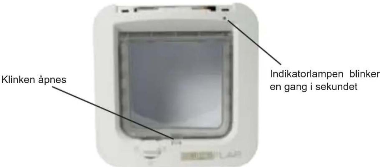 SureFlap Microchip - Læremodus - 4