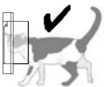 SureFlap Microchip - Belangrijke mededeling - 2