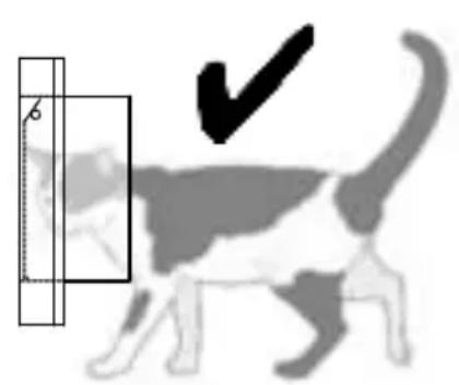 SureFlap Microchip - 2