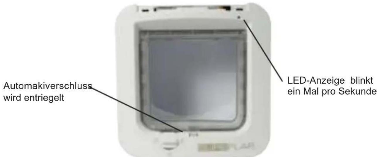 SureFlap Microchip - Lernmodus - 4