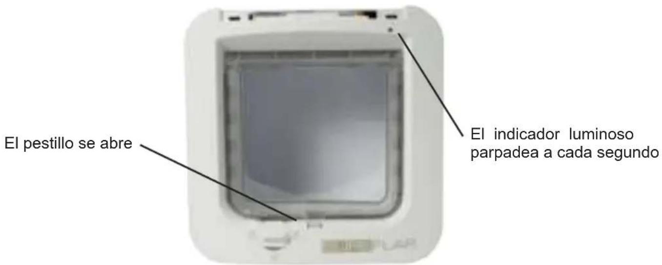 SureFlap Microchip - Modelo de almacenimiento - 4