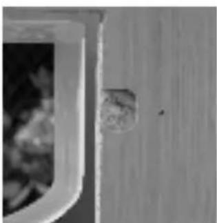 SureFlap Microchip - Einbau in Mauern - 6
