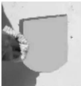 SureFlap Microchip - Montage in Holztüren, Kunststofftüren oder Gipskartonwänden - 5