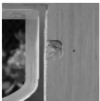 SureFlap Microchip - Installation sur un mur - 6