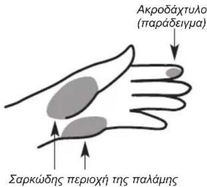 MEDISANA MediTouch - MEDISANA - 2