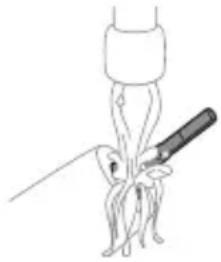 PHILIPS Sonicare ProtectiveClean 5100 HX6850 - Mango del cepillo de dientes - 1