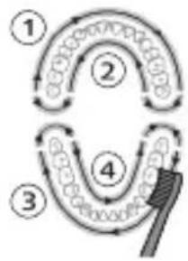 PHILIPS Sonicare ProtectiveClean 6100 HX6870 - Režimai - 1