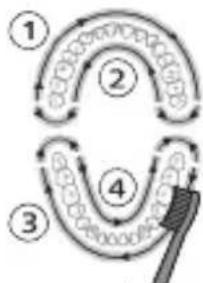 PHILIPS Sonicare ProtectiveClean 6100 HX6870 - Så har borstar du - 2