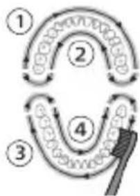 PHILIPS Sonicare ProtectiveClean 6100 HX6870 - QuadPacer - 1