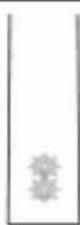 PHILIPS Sonicare ProtectiveClean 6100 HX6870 - NEBO - 2