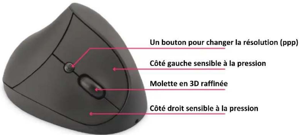 Digitus DA20155 - Scheme - 1
