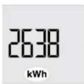 STIEBEL ELTRON SHZ 150 LCD - Affichage de la consommation energetique - 1