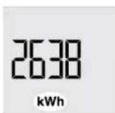 STIEBEL ELTRON SHZ 120 LCD - Affichage de la consommation energetique - 1