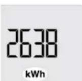 STIEBEL ELTRON SHZ 100 LCD - Affichage de la consommation énergétique - 1