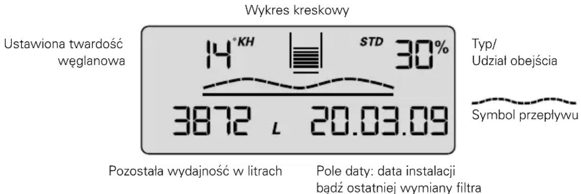 BRITA Purity 450 Steam - Widok w trybie eksploatacji - 1
