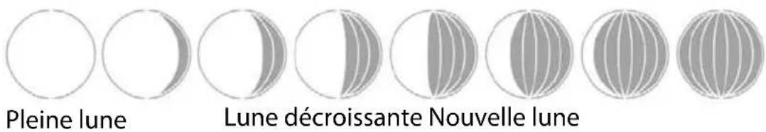 Sempre GTWS10w - Phases de la lune - 1