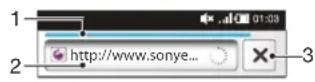 SONY ERICSSON WT19i - Barre de recherche et d'adresse - 1