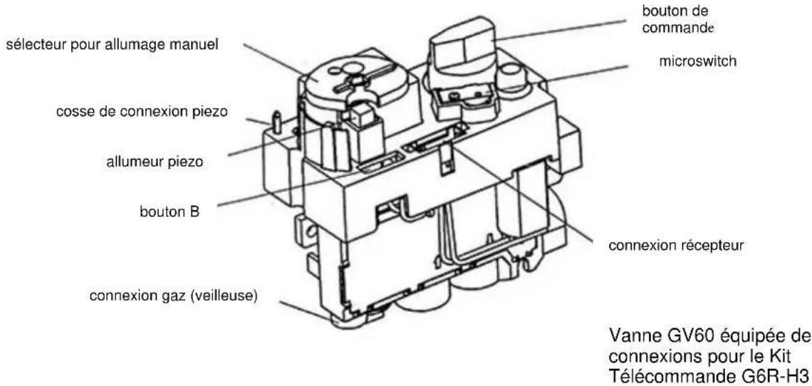 NESTOR MARTIN R25 - Connexions - 1