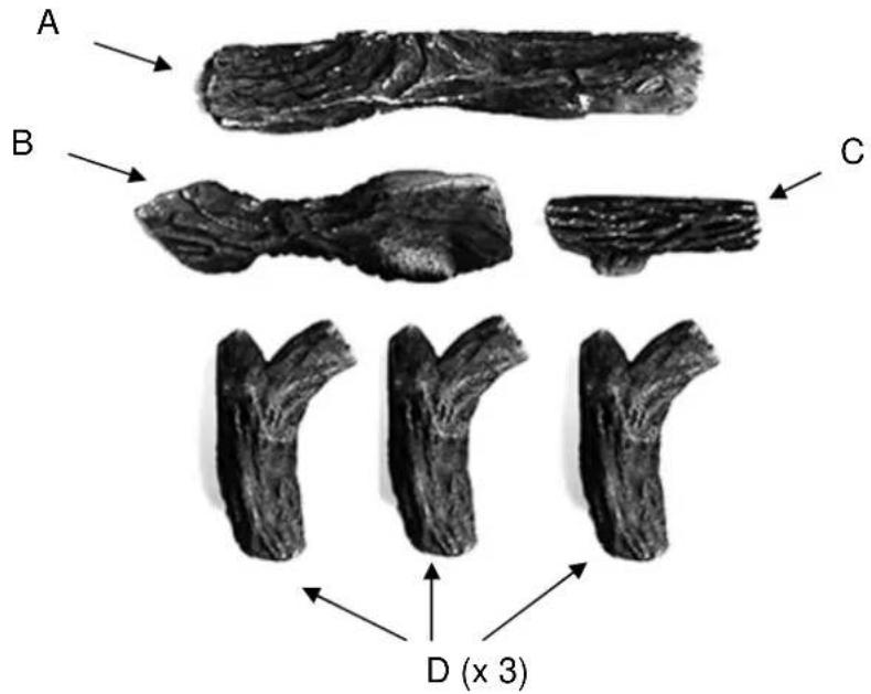 NESTOR MARTIN R25 - CONTENU DU KIT BUCHES - 1
