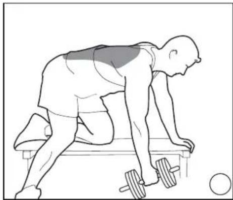 DOMYOS BM 160 - EXERCICES · EXERCISES · EJERCICIOS · GRUNDÜBUNGEN · ESERCIZI · OEFENINGEN - 3