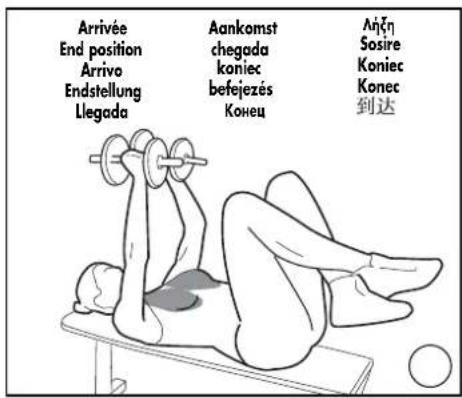 DOMYOS BM 160 - EXERCICES · EXERCISES · EJERCICIOS · GRUNDÜBUNGEN · ESERCIZI · OEFENINGEN - 5