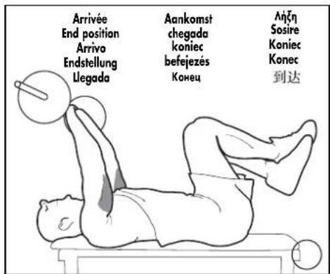 DOMYOS BM 160 - EXERCICES · EXERCISES · EJERCICIOS · GRUNDÜBUNGEN · ESERCIZI · OEFENINGEN - 9