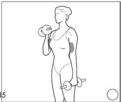 DOMYOS BM 160 - EXERCICES · EXERCISES · EJERCICIOS · GRUNDÜBUNGEN · ESERCIZI · OEFENINGEN - 2