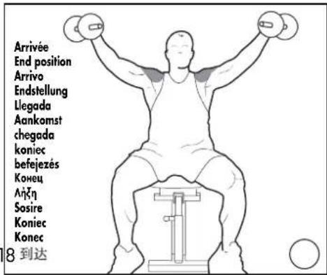 DOMYOS BM 160 - EXERCICES · EXERCISES · EJERCICIOS · GRUNDÜBUNGEN · ESERCIZI · OEFENINGEN - 5