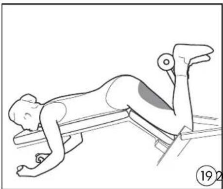 DOMYOS BM 160 - EXERCICES · EXERCISES · EJERCICIOS · GRUNDÜBUNGEN · ESERCIZI · OEFENINGEN - 7