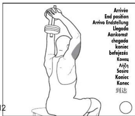 DOMYOS BM 160 - EXERCICES · EXERCISES · EJERCICIOS · GRUNDÜBUNGEN · ESERCIZI · OEFENINGEN - 11