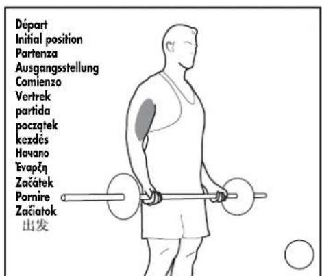 DOMYOS BM 160 - EXERCICES · EXERCISES · EJERCICIOS · GRUNDÜBUNGEN · ESERCIZI · OEFENINGEN - 12