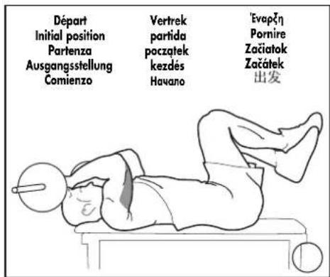 DOMYOS BM 160 - EXERCICES · EXERCISES · EJERCICIOS · GRUNDÜBUNGEN · ESERCIZI · OEFENINGEN - 8
