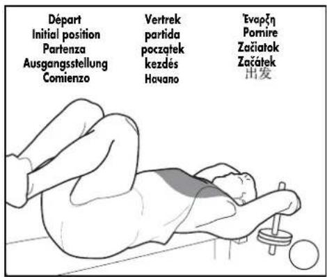 DOMYOS BM 160 - EXERCICES · EXERCISES · EJERCICIOS · GRUNDÜBUNGEN · ESERCIZI · OEFENINGEN - 6