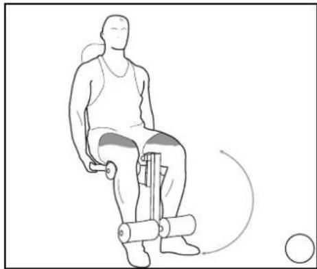 DOMYOS BM 160 - EXERCICES · EXERCISES · EJERCICIOS · GRUNDÜBUNGEN · ESERCIZI · OEFENINGEN - 6