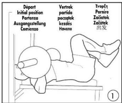 DOMYOS BM 160 - EXERCICES · EXERCISES · EJERCICIOS · GRUNDÜBUNGEN · ESERCIZI · OEFENINGEN - 1