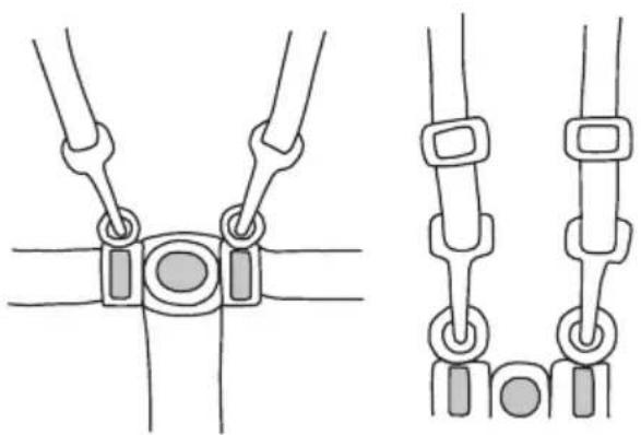 Baninni Relax Coolio BN398 - Use of the seatbelt - 1