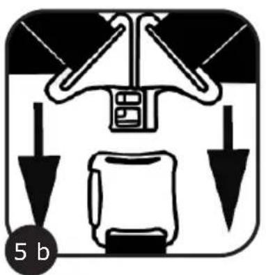 ABC DESIGN Mint - 10