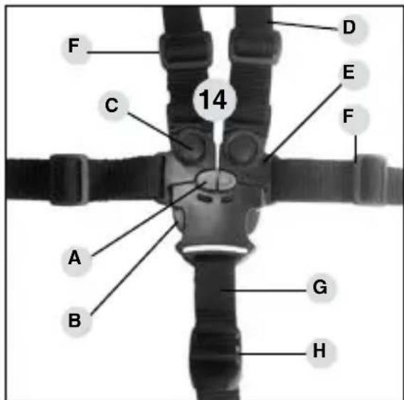 HARTAN Racer GTS - Canopy attachment - 2