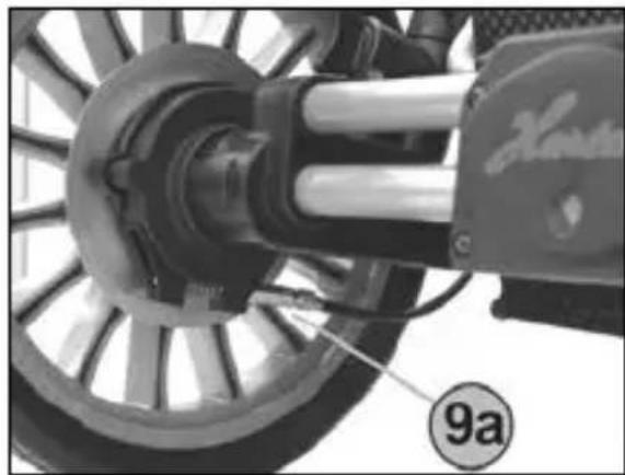 HARTAN Racer GTS - Hood and safety bar - 2