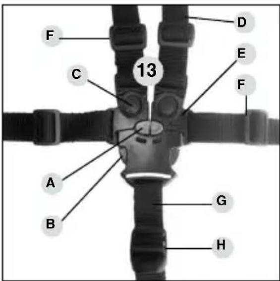 HARTAN Racer GTS - Parasollets feste - 1