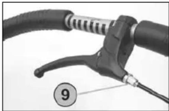 HARTAN Racer GTS - Hood and safety bar - 1