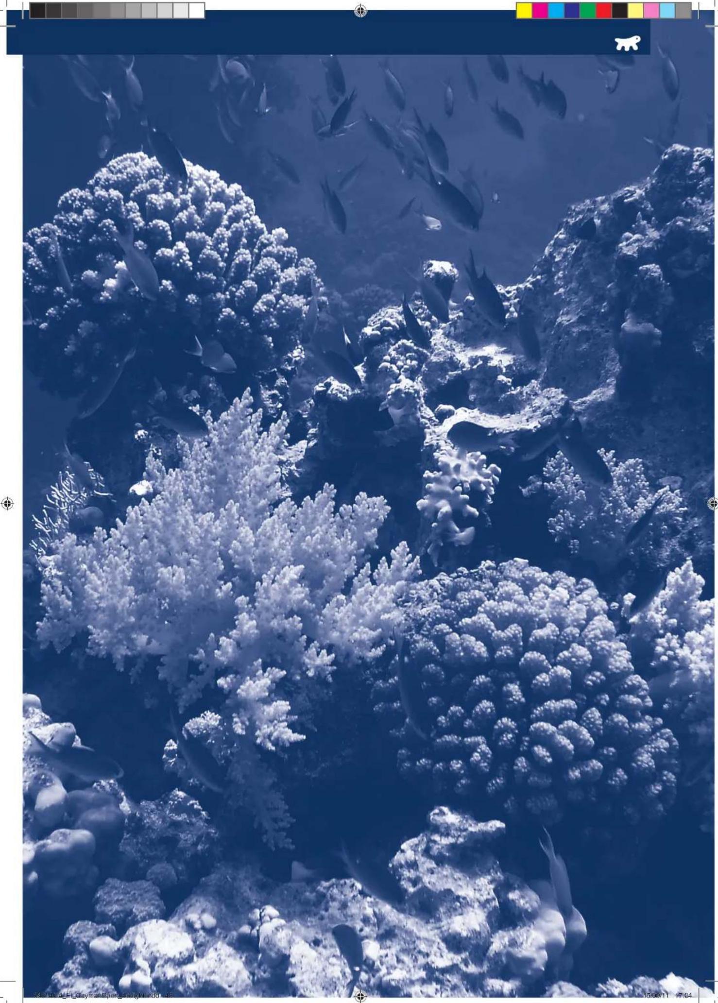 Ferplast Cayman 110 Open - WAZNE - 3